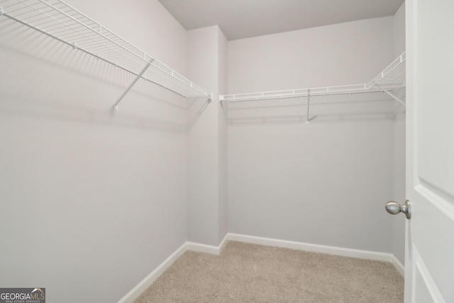 3102-B Brownstone Ln SE, Atlanta, GA 30354 - walk in closet featuring carpet
