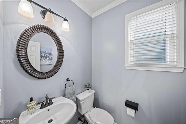 bathroom featuring toilet, ornamental molding, and sink