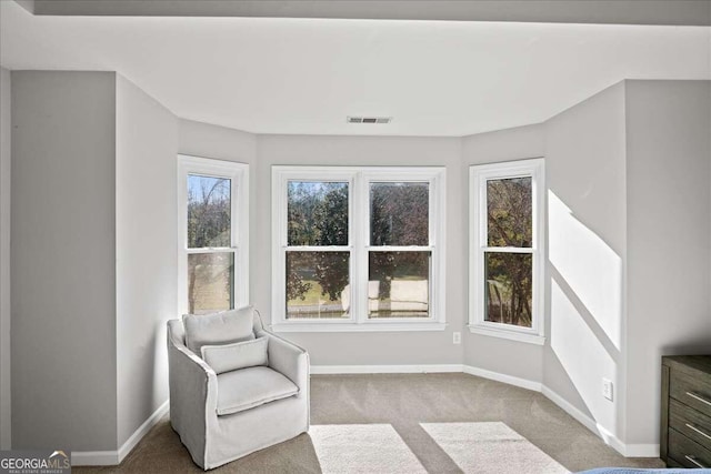 living area with light colored carpet