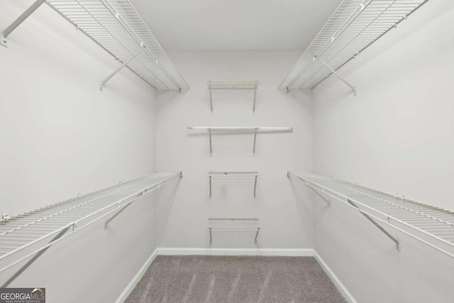 bathroom with hardwood / wood-style flooring and vanity