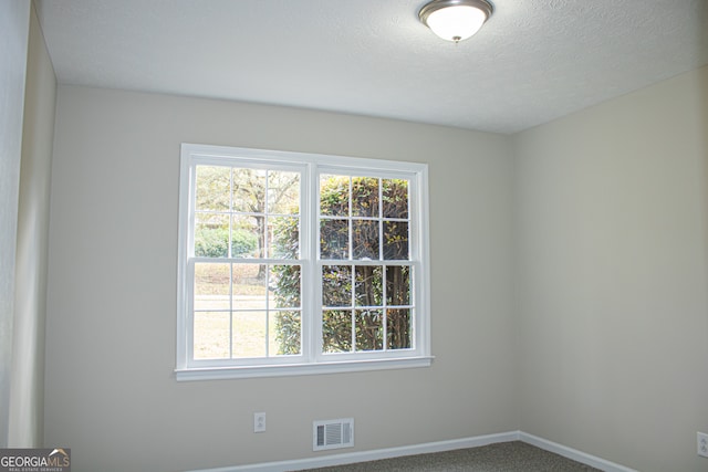 empty room featuring carpet and a textured ceiling