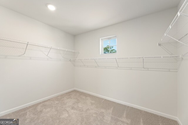 spacious closet featuring carpet