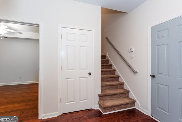 staircase featuring wood-type flooring and ceiling fan