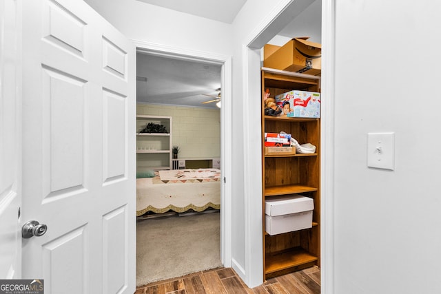 walk in closet with ceiling fan and light hardwood / wood-style flooring