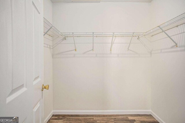 spacious closet featuring dark hardwood / wood-style floors