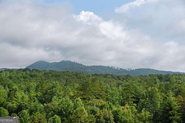 view of mountain feature