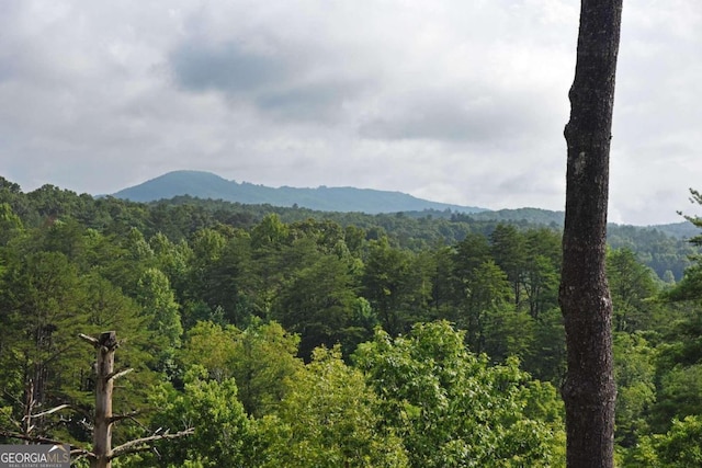 property view of mountains