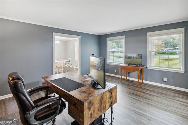 office with dark hardwood / wood-style floors and crown molding