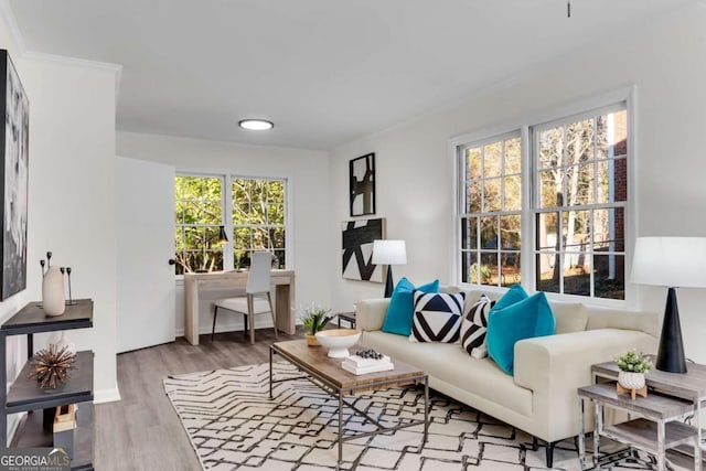 sitting room with hardwood / wood-style flooring and crown molding