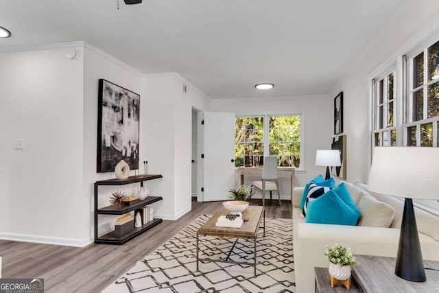 living room with hardwood / wood-style floors and ornamental molding