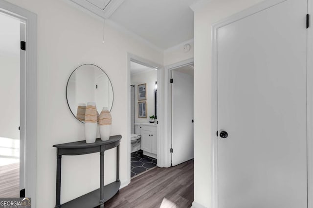 corridor featuring dark hardwood / wood-style floors and ornamental molding