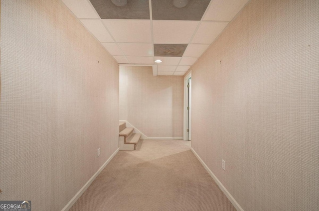 corridor with carpet and a paneled ceiling