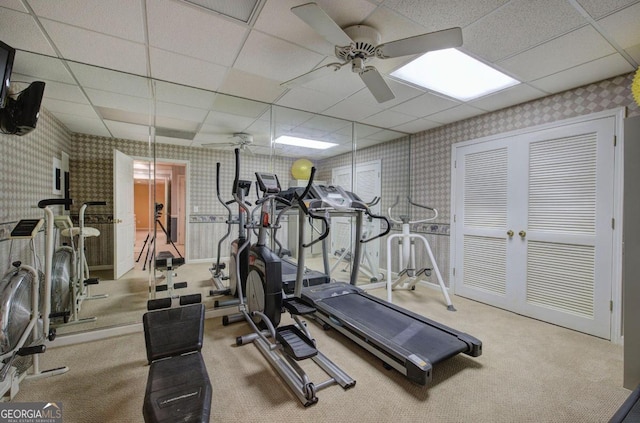 gym featuring ceiling fan, a drop ceiling, and carpet