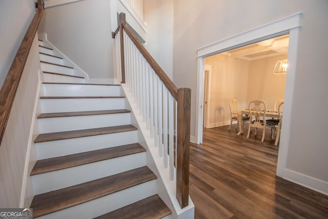 staircase with hardwood / wood-style floors