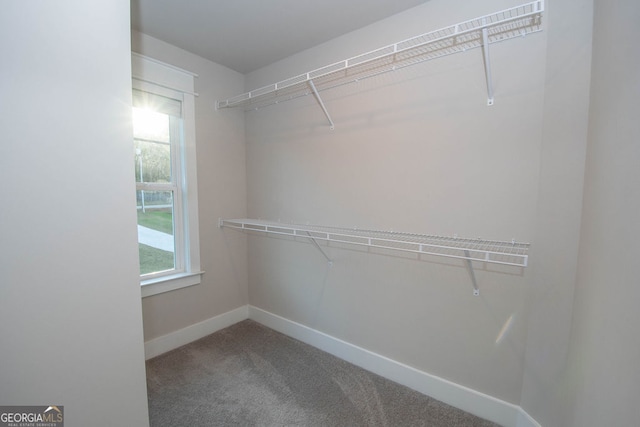 spacious closet with carpet floors