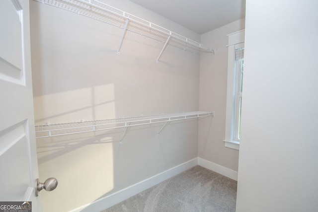 walk in closet with light colored carpet