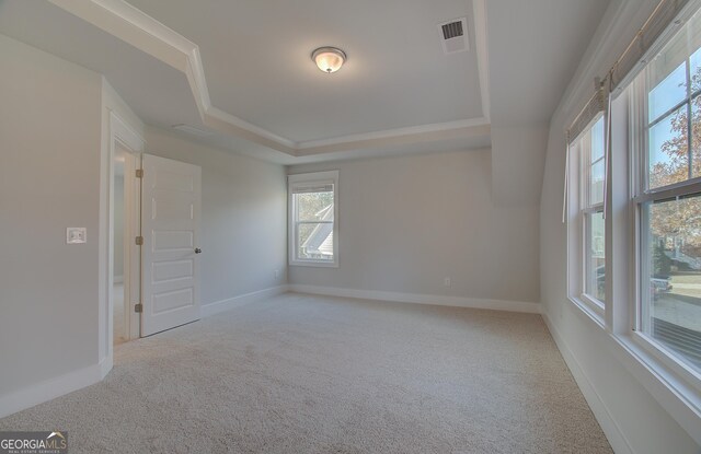 empty room with a raised ceiling and carpet