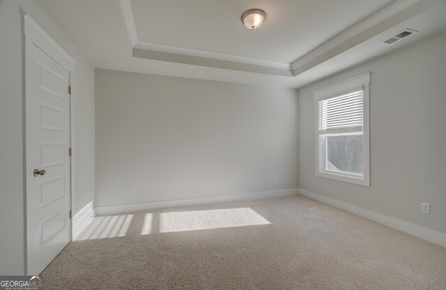 empty room featuring a raised ceiling and light carpet