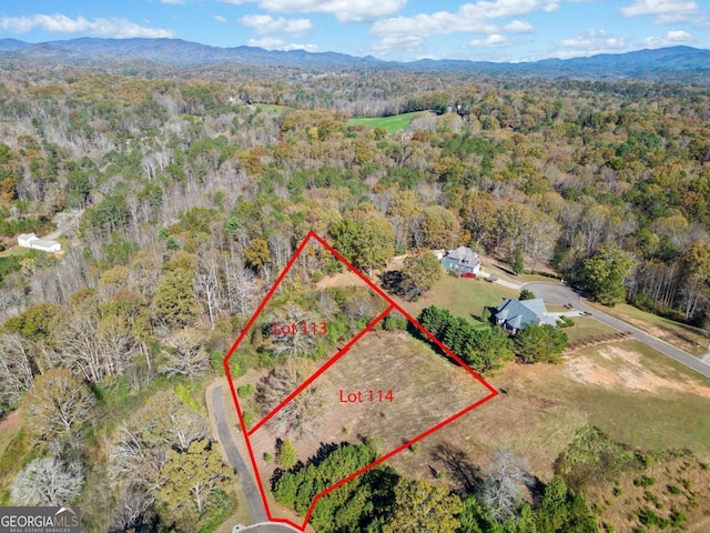 Listing photo 2 for LOT114 Oak Valley Ct, Ellijay GA 30540