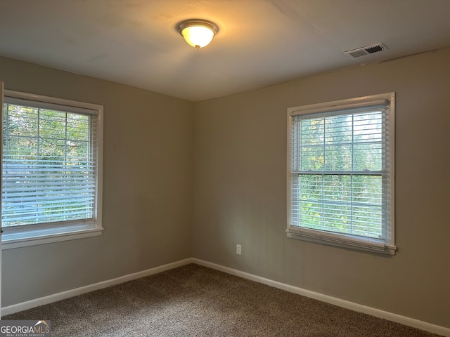 empty room featuring carpet flooring and plenty of natural light