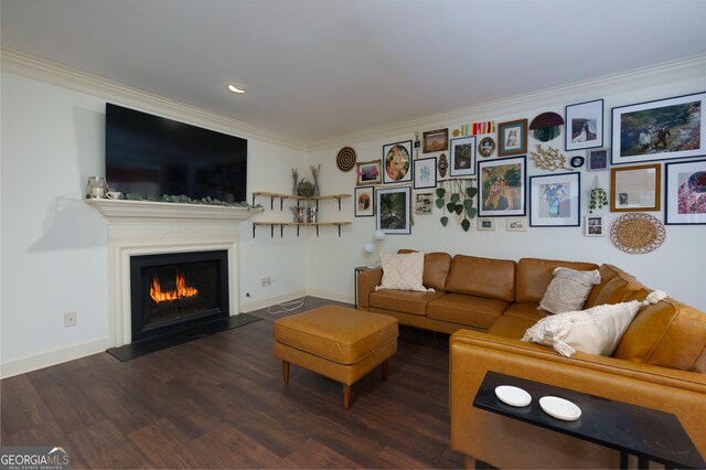 living room featuring crown molding and dark wood-type flooring