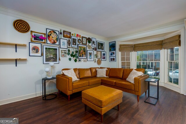 living room with crown molding and dark wood-type flooring