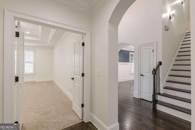 corridor with crown molding and dark wood-type flooring