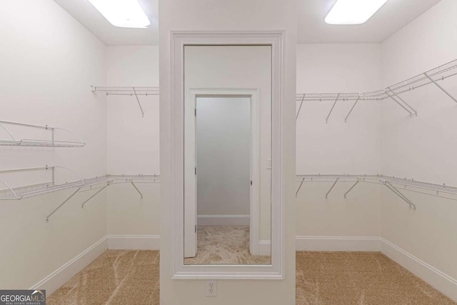 walk in closet with light colored carpet