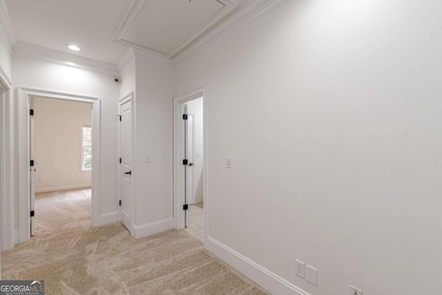 hall with ornamental molding and light carpet