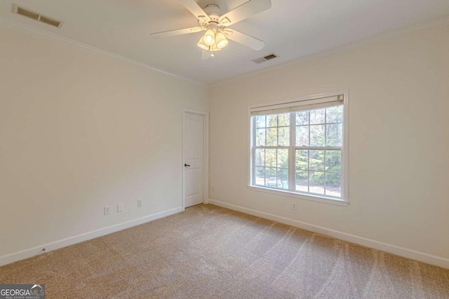 spare room with carpet flooring, ceiling fan, and ornamental molding