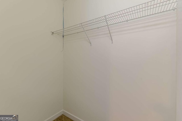 view of walk in closet