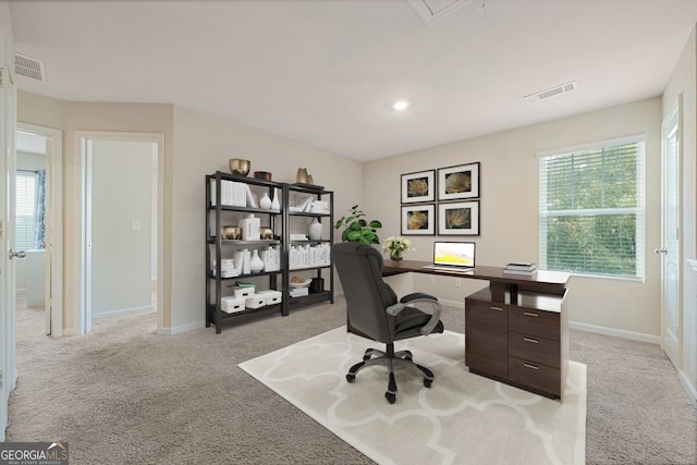 carpeted office featuring a wealth of natural light