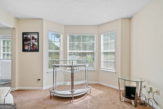 sitting room with light carpet and a textured ceiling