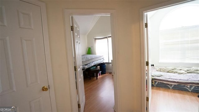 hall with crown molding, hardwood / wood-style floors, and a healthy amount of sunlight