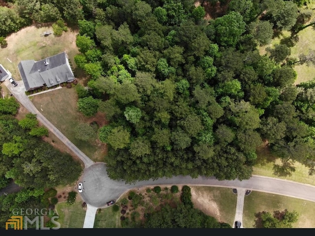 136 SE Harrison Pl, Hampton GA, 30228 land for sale