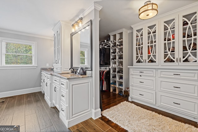 walk in closet featuring sink and dark hardwood / wood-style floors