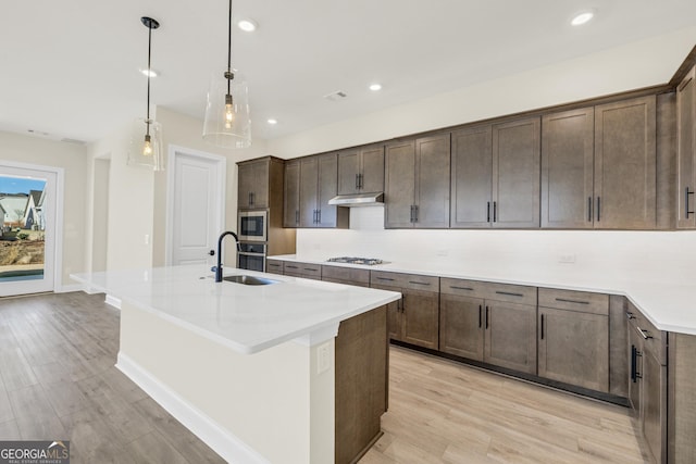 kitchen with dark brown cabinets, sink, an island with sink, and light hardwood / wood-style flooring