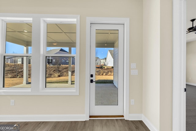 entryway featuring hardwood / wood-style flooring