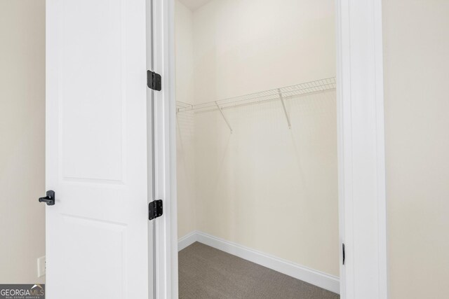 spacious closet with carpet