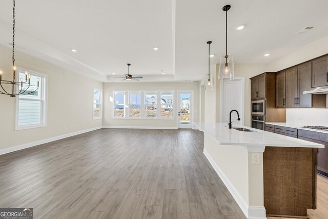 kitchen featuring light wood-type flooring, ceiling fan with notable chandelier, stainless steel appliances, dark brown cabinetry, and sink