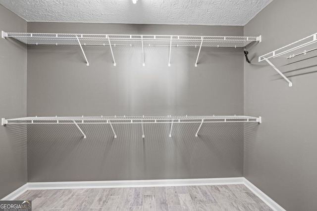 spacious closet featuring wood finished floors