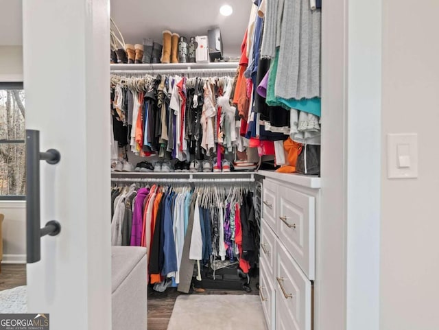 walk in closet with wood-type flooring