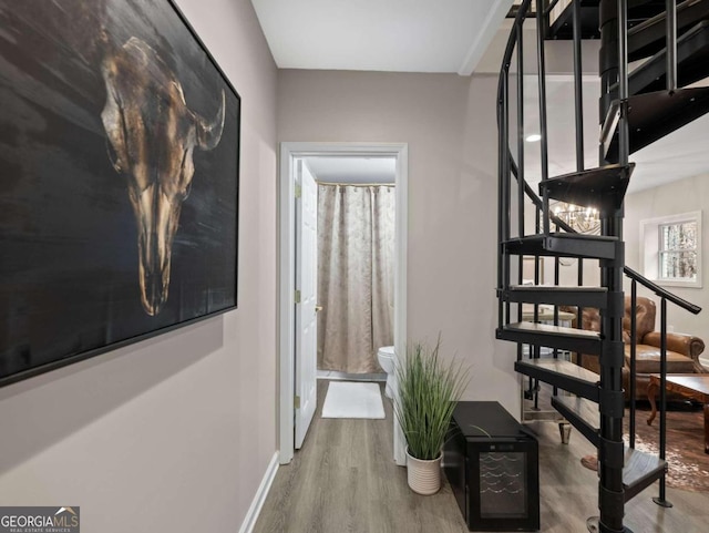 stairs featuring wood-type flooring