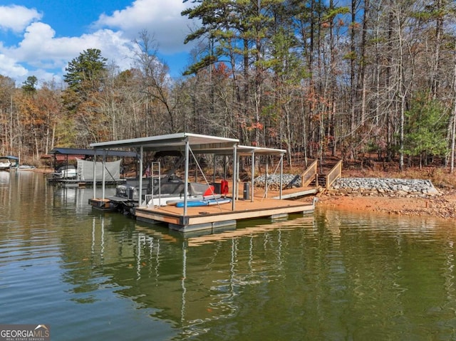 dock area with a water view