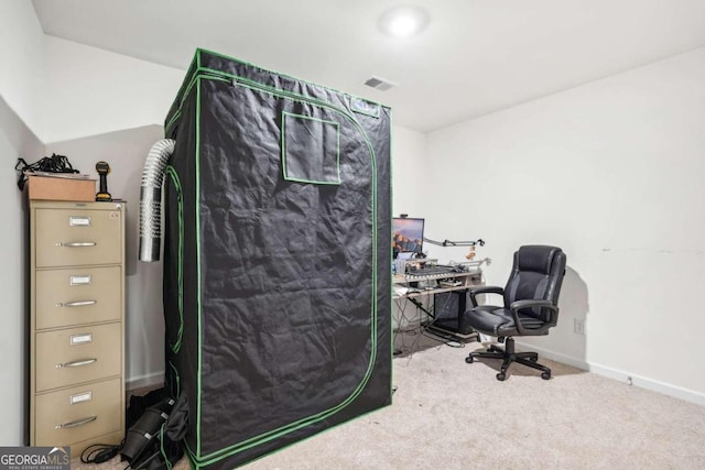 office featuring light colored carpet