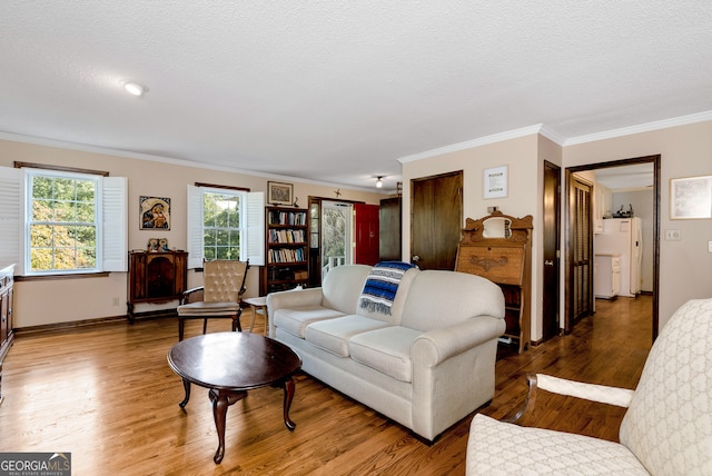 living room with crown molding, wood-type flooring, and a textured ceiling