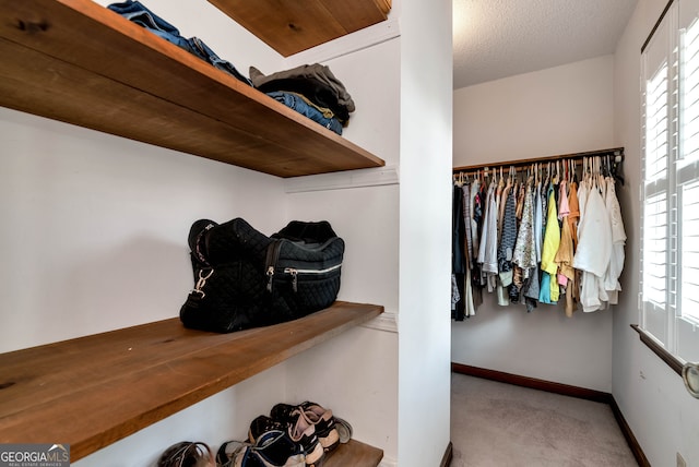 spacious closet featuring light carpet