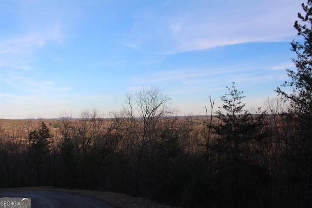 Listing photo 3 for 0 Orchard Hills Dr Lot 33, Clarkesville GA 30523