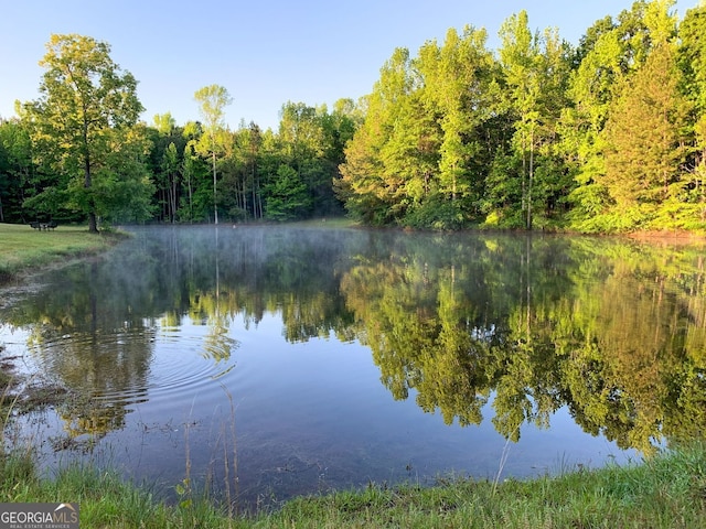 view of water feature