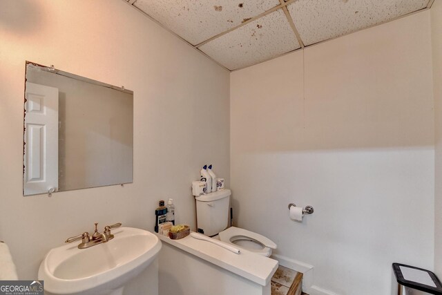 bathroom with a drop ceiling, toilet, and sink